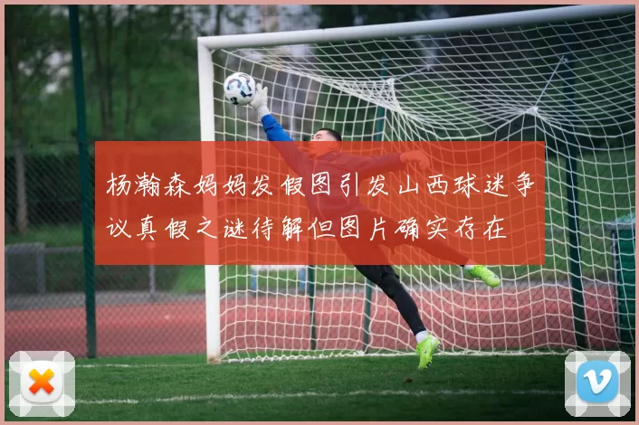杨瀚森妈妈发假图引发山西球迷争议真假之谜待解但图片确实存在